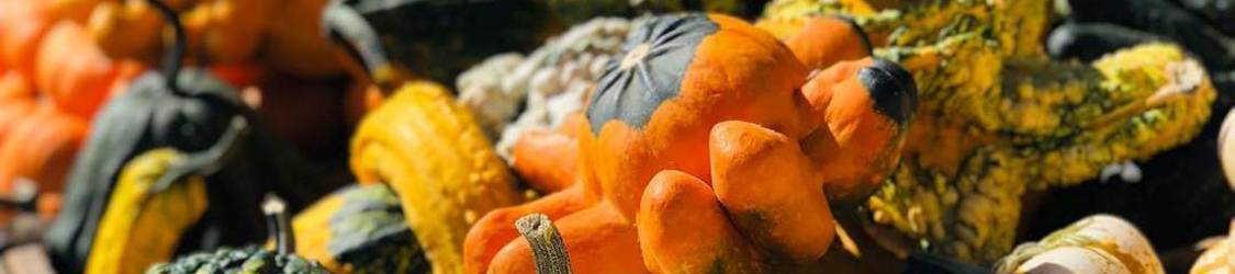 The Pumpkins