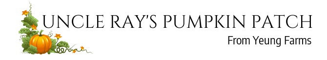 Uncle Ray's Pumpkin Patch
